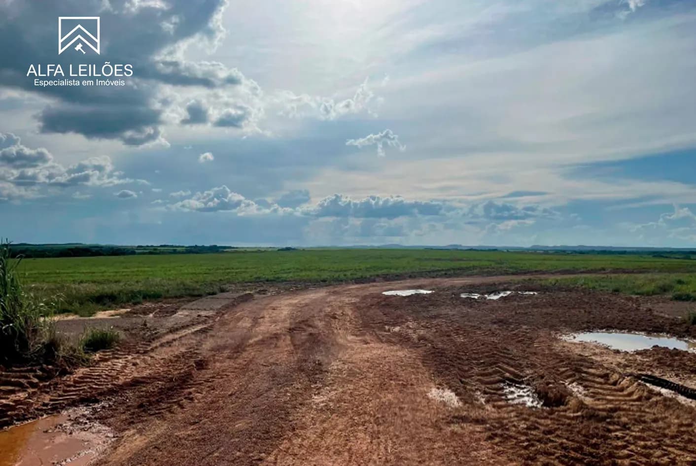 Foto 8 de 17: Area Rural em leilão em Paranatinga - MT — Leilão De Fazenda Em Paranatinga (mt)