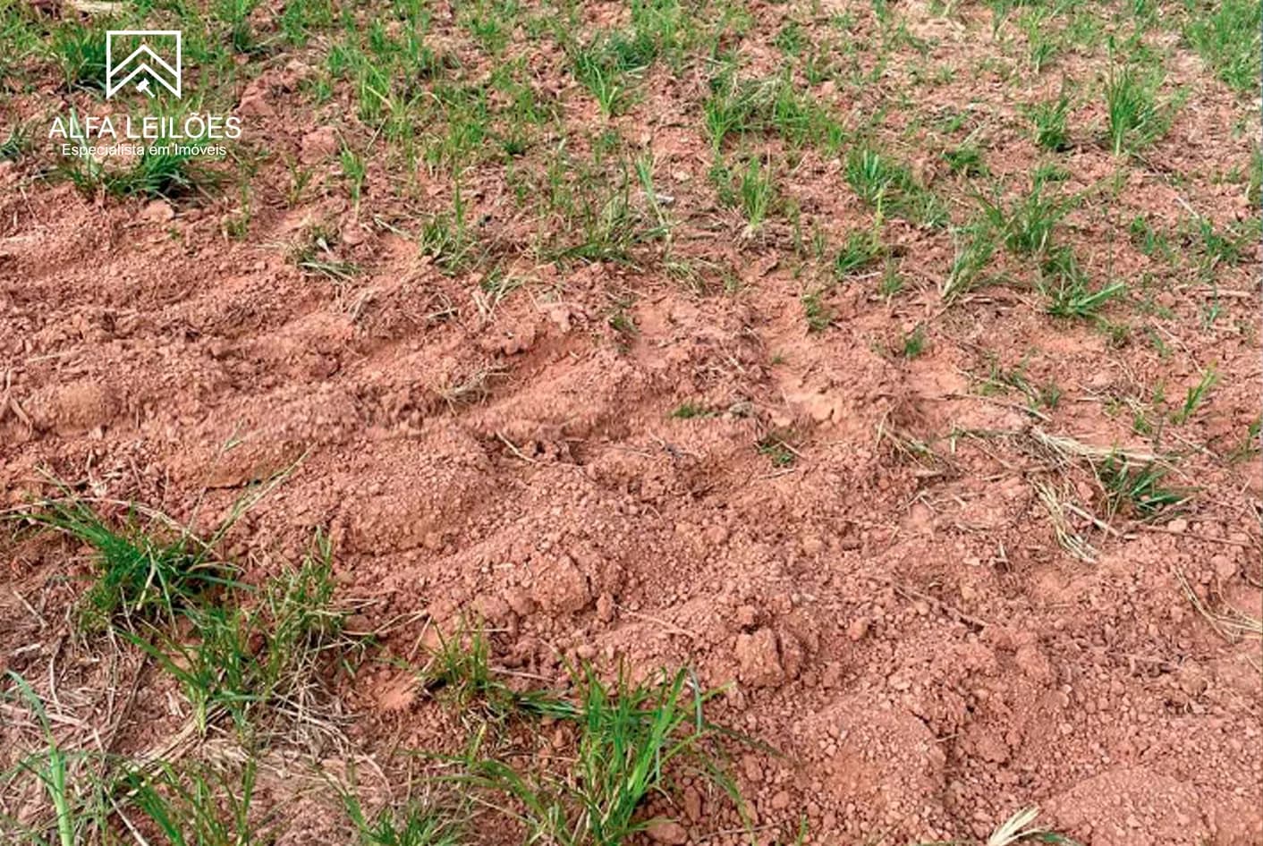 Foto 14 de 17: Area Rural em leilão em Paranatinga - MT — Leilão De Fazenda Em Paranatinga (mt)