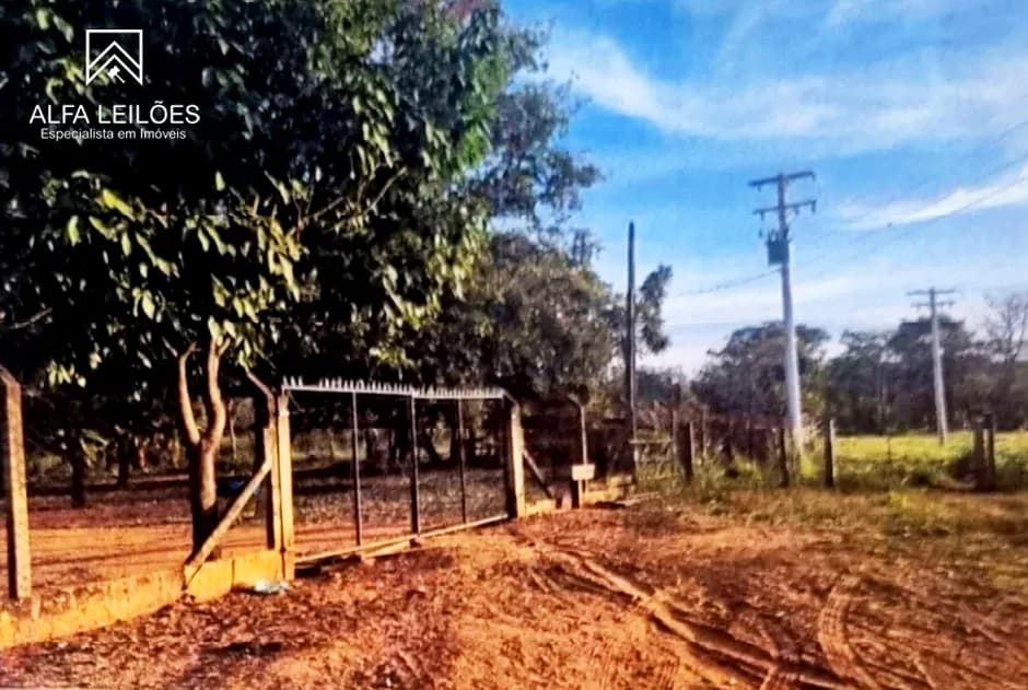 Foto 3 de 12: Area Rural em leilão em São José Do Rio Preto - SP — Leilão de Fazenda em São José do Rio Preto (SP)