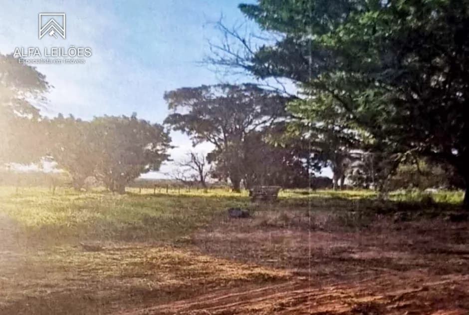 Foto 6 de 12: Area Rural em leilão em São José Do Rio Preto - SP — Leilão de Fazenda em São José do Rio Preto (SP)