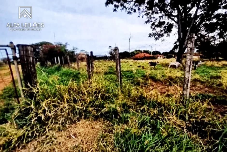 Foto 10 de 12: Area Rural em leilão em São José Do Rio Preto - SP — Leilão de Fazenda em São José do Rio Preto (SP)