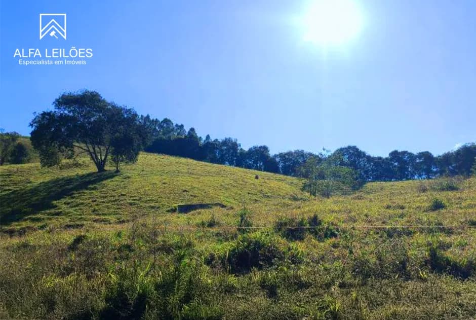 Foto 3 de 3: Area Rural em leilão em Conceição Do Rio Verde - MG — Leilão de Fazenda em Conceição do Rio Verde (MG)