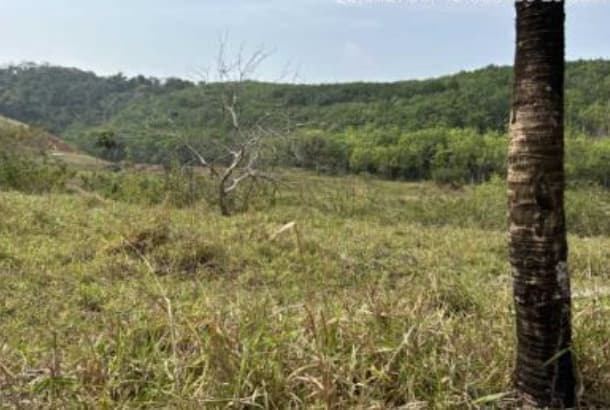 Foto 4 de 4: Area Rural em leilão em Silva Jardim - RJ — LOTE 16: Áre de terras com 2.664.050,00 m² - Zona Rural SILVA JARDIM RJ