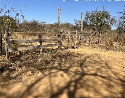 Area Rural em leilão em Riachão Das Neves - BA — LOTE 2: Fazenda com 260,00ha - Zona Rural