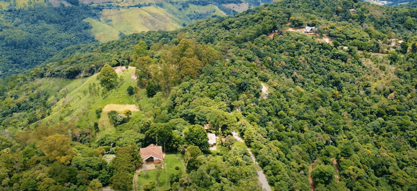 Terreno em leilão em Campos Do Jordão - SP — LOTE 5: Terreno com 8.970,00 m² - Alpes de Campos do Jordão CAMPOS DO JORDÃO SP