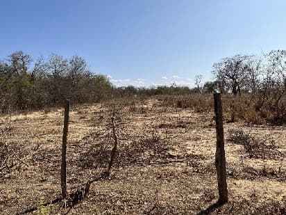 Foto 3 de 3: Area Rural em leilão em Riachão Das Neves - BA — LOTE 2: Fazenda com 260,00 ha - Zona Rural RIACHÃO DAS NEVES BA