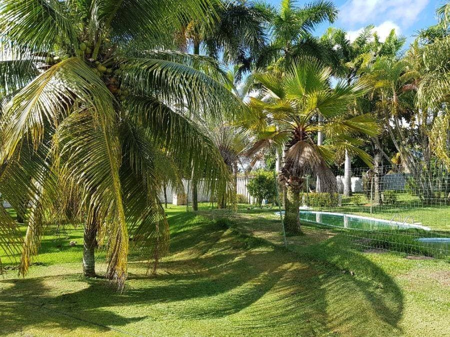Foto 23 de 25: Casa em leilão em Nísia Floresta - RN — LOTE 45: Casa, Padrão, 1 vaga(s) de garagem NÍSIA FLORESTA RN