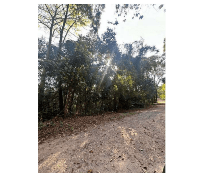 Foto 1 de 2: Terreno em leilão em Campo Limpo Paulista - SP — LOTE 2: Lote de Terreno com 690,16 m² - Loteamento Champs Pivés