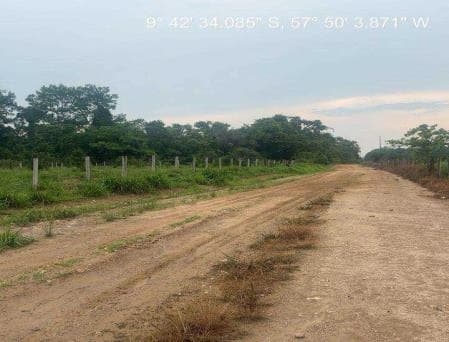 Foto 2 de 4: Area Rural em leilão em Nova Bandeirantes - MT — LOTE 4: Área Rural com 56,1920 ha - Zona Rural