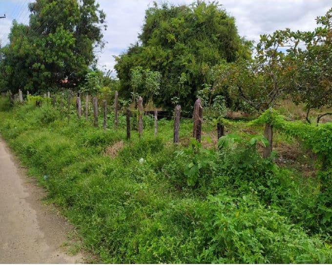 Foto 2 de 7: Terreno em leilão em Altos - PI — LOTE 2: Terreno Foreiro com 2.160 m² - São Luiz ALTOS PI