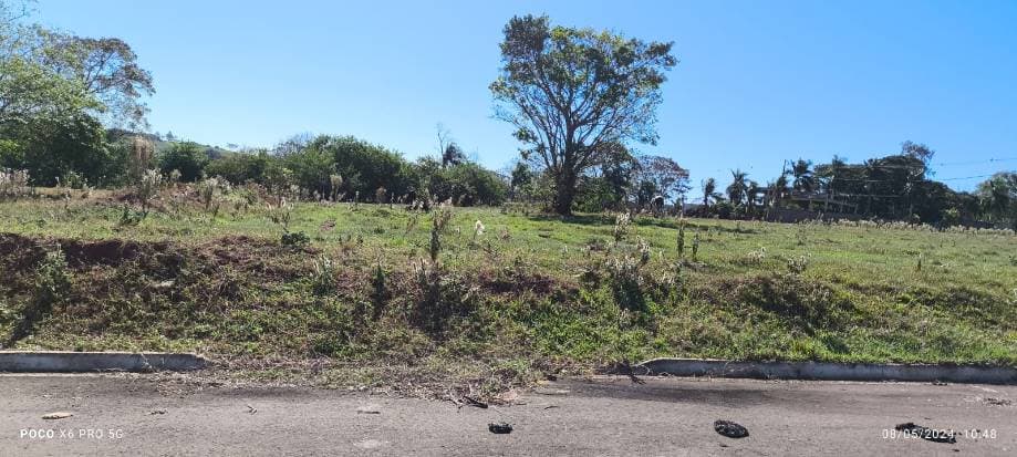 Foto 13 de 16: Terreno em leilão em Pérola - PR — LOTE 3: Lote, Padrão, 0 vaga(s) de garagem Pérola PR