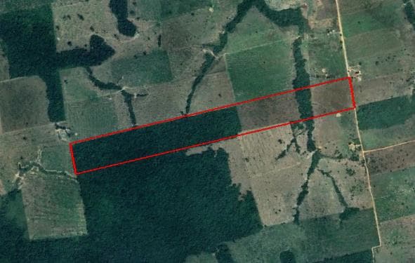Foto 1 de 4: Area Rural em leilão em Nova Bandeirantes - MT — LOTE 4: Área Rural com 56,1920 ha - Zona Rural