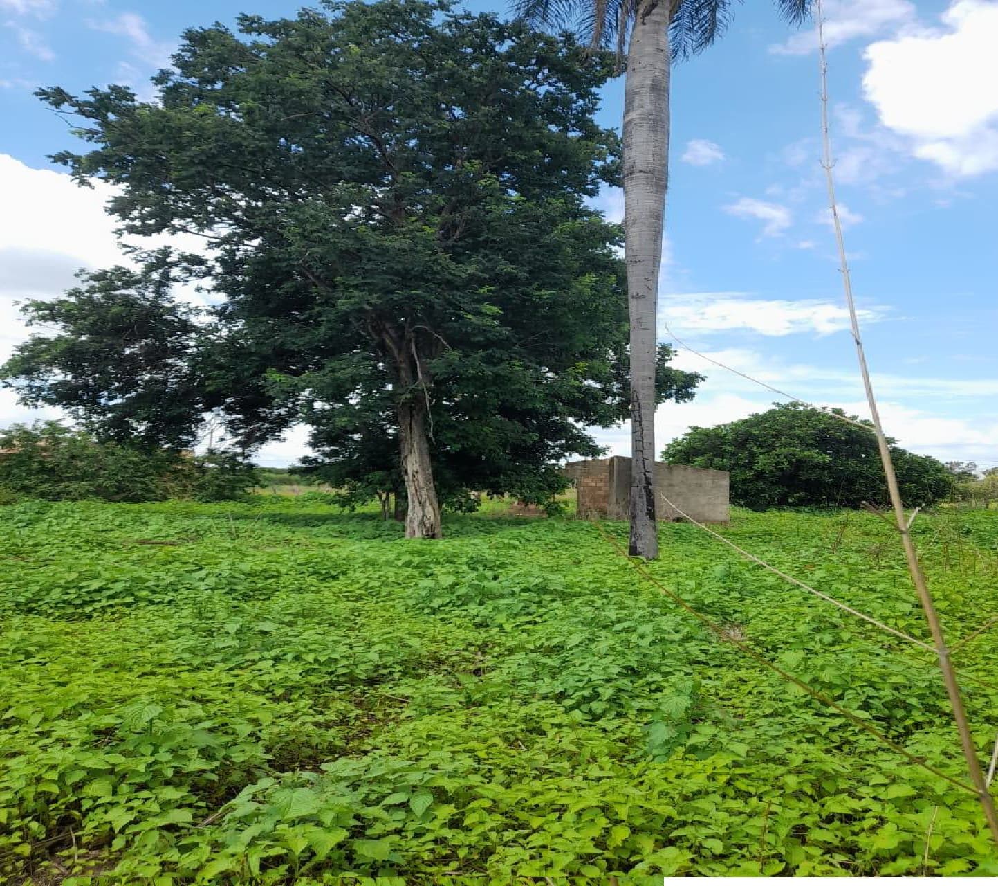 Foto 2 de 4: Terreno em leilão em Picos - PI — LOTE 5: Terreno com 9.957,91 m² - Saco Grande PICOS PI