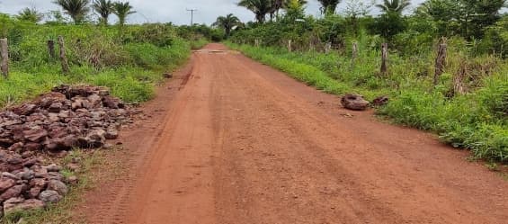 Foto 5 de 5: Area Rural em leilão em Codó - MA — LOTE 1: Fazenda Nacional com 90.40.92 ha - Povoado Cajazeiras CODÓ MA
