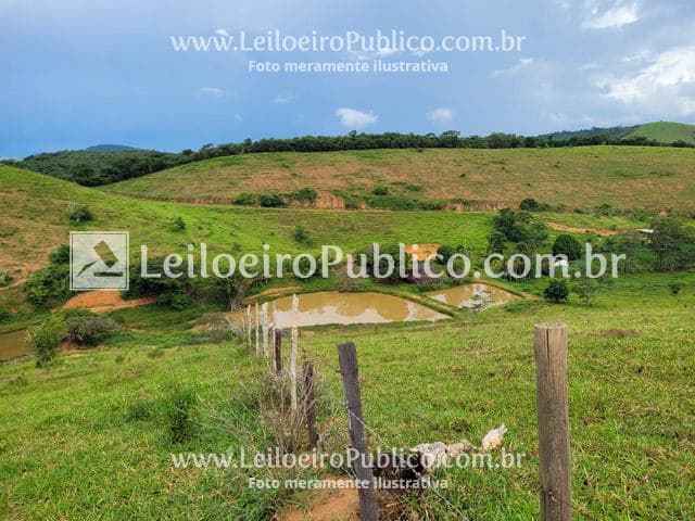 Area Rural em leilão em Patrocínio Do Muriaé - MG — PATROCÍNIO DO MURIAÉ (MG): IMÓVEL R. 42,02 Ha