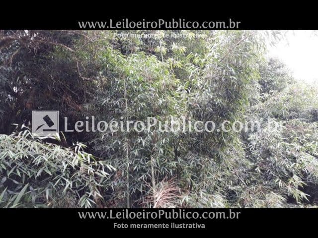Foto 3 de 5: Terreno em leilão em Taió - SC — TAIÓ (SC): TERRENO 2.229.194,82 m²