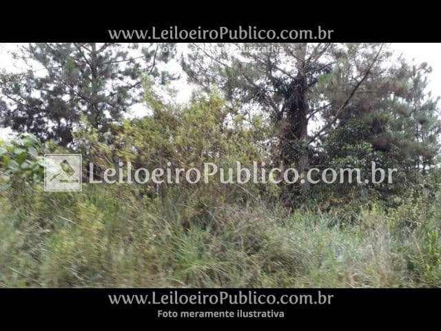Foto 4 de 5: Terreno em leilão em Taió - SC — TAIÓ (SC): TERRENO 2.229.194,82 m²