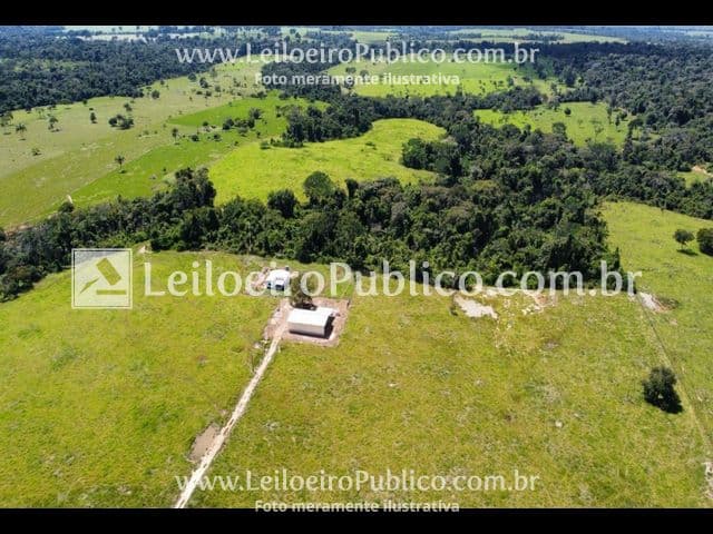 Foto 5 de 12: Terreno em leilão em Paranaíta - MT — PARANAÍTA (MT): TERRENO 75,00 ha