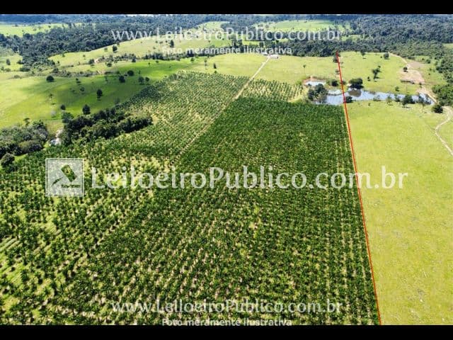 Foto 6 de 12: Terreno em leilão em Paranaíta - MT — PARANAÍTA (MT): TERRENO 75,00 ha