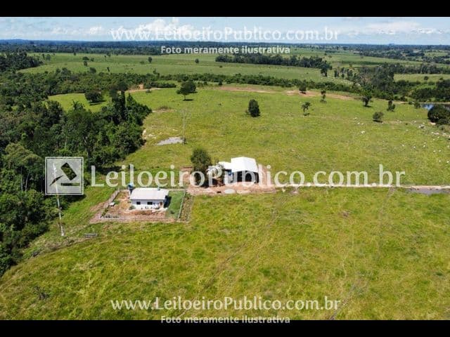 Foto 7 de 12: Terreno em leilão em Paranaíta - MT — PARANAÍTA (MT): TERRENO 75,00 ha