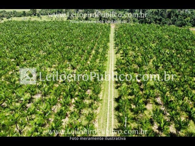 Foto 9 de 12: Terreno em leilão em Paranaíta - MT — PARANAÍTA (MT): TERRENO 75,00 ha