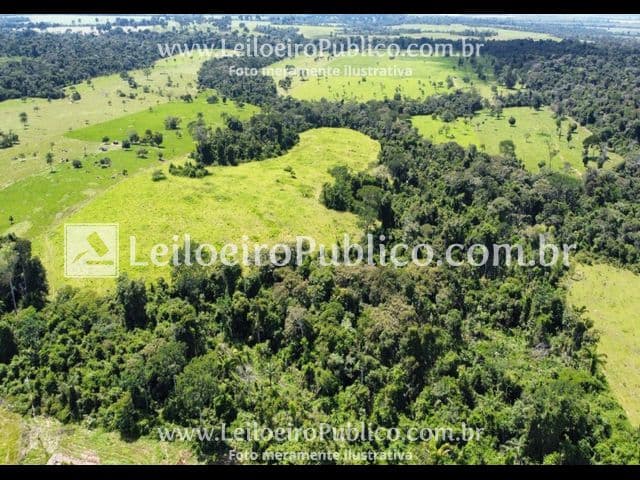 Foto 10 de 12: Terreno em leilão em Paranaíta - MT — PARANAÍTA (MT): TERRENO 75,00 ha
