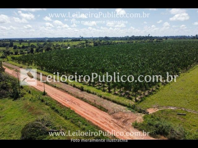 Foto 12 de 12: Terreno em leilão em Paranaíta - MT — PARANAÍTA (MT): TERRENO 75,00 ha