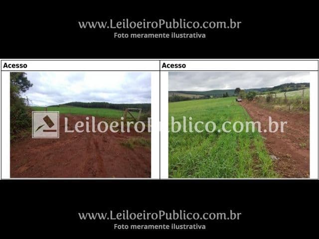Foto 9 de 20: Terreno em leilão em Brunópolis - SC — BRUNÓPOLIS (SC): TERRENO 8,0214 ha