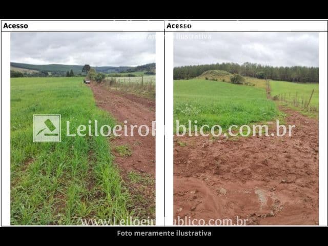 Foto 10 de 20: Terreno em leilão em Brunópolis - SC — BRUNÓPOLIS (SC): TERRENO 8,0214 ha