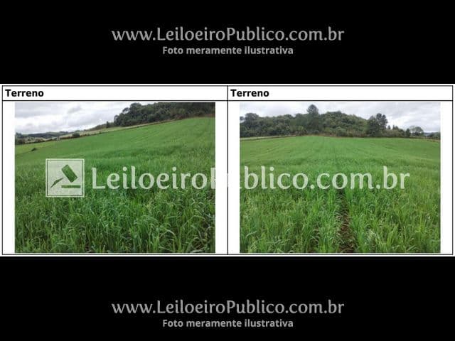 Foto 11 de 20: Terreno em leilão em Brunópolis - SC — BRUNÓPOLIS (SC): TERRENO 8,0214 ha