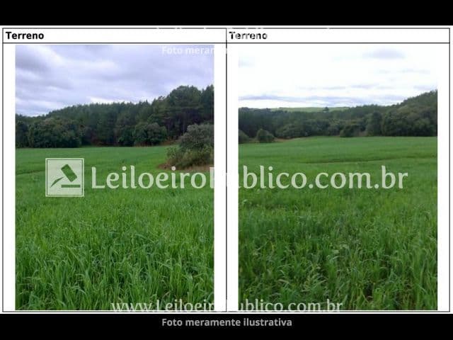 Foto 12 de 20: Terreno em leilão em Brunópolis - SC — BRUNÓPOLIS (SC): TERRENO 8,0214 ha