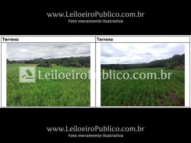 Foto 13 de 20: Terreno em leilão em Brunópolis - SC — BRUNÓPOLIS (SC): TERRENO 8,0214 ha