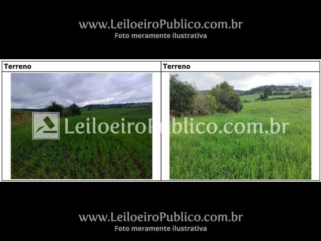 Foto 14 de 20: Terreno em leilão em Brunópolis - SC — BRUNÓPOLIS (SC): TERRENO 8,0214 ha