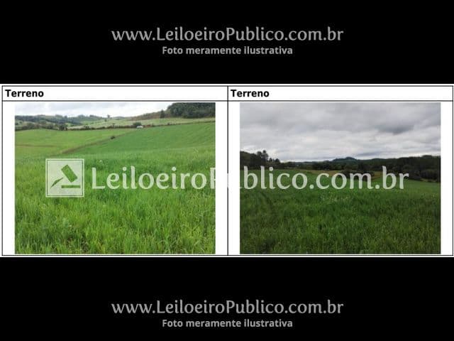 Foto 15 de 20: Terreno em leilão em Brunópolis - SC — BRUNÓPOLIS (SC): TERRENO 8,0214 ha