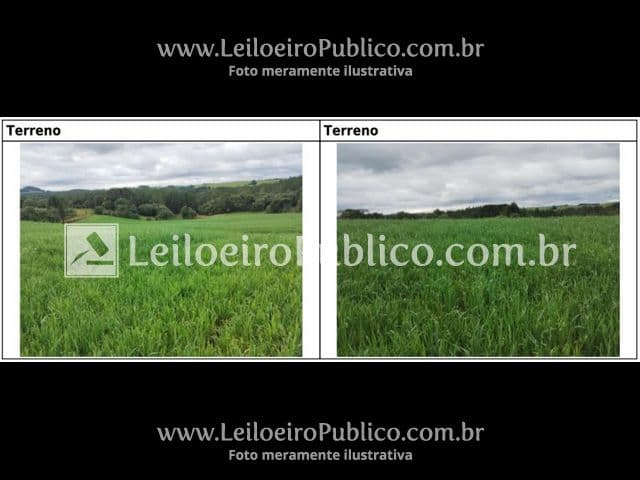 Foto 16 de 20: Terreno em leilão em Brunópolis - SC — BRUNÓPOLIS (SC): TERRENO 8,0214 ha