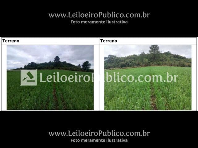 Foto 17 de 20: Terreno em leilão em Brunópolis - SC — BRUNÓPOLIS (SC): TERRENO 8,0214 ha