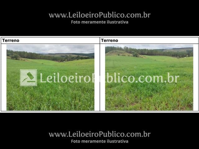 Foto 18 de 20: Terreno em leilão em Brunópolis - SC — BRUNÓPOLIS (SC): TERRENO 8,0214 ha