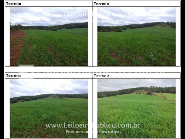 Foto 19 de 20: Terreno em leilão em Brunópolis - SC — BRUNÓPOLIS (SC): TERRENO 8,0214 ha
