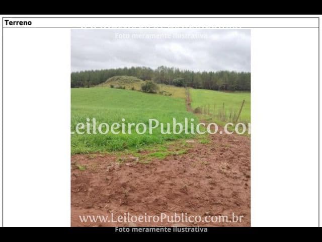 Foto 20 de 20: Terreno em leilão em Brunópolis - SC — BRUNÓPOLIS (SC): TERRENO 8,0214 ha