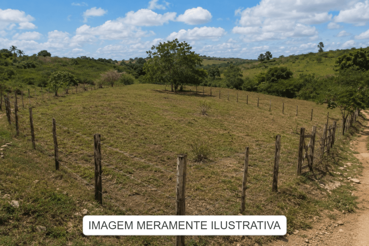 Foto 2 de 2: Area Rural em leilão em Tacaimbó - PE — IMÓVEIS RURAIS — LOTE Nº 02