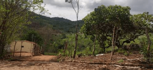 Foto 3 de 4: Area Rural em leilão em Vertentes - PE — IMÓVEIS RURAIS — LOTE Nº