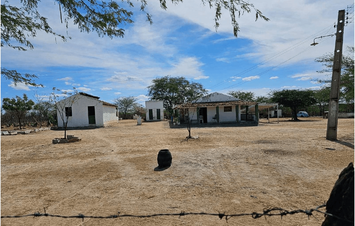 Foto 2 de 4: Area Rural em leilão em Arcoverde - PE — IMÓVEIS RURAIS — LOTE Nº 01