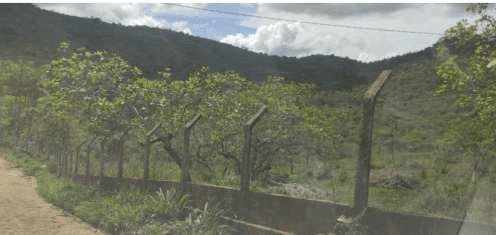 Foto 2 de 4: Area Rural em leilão em Vertentes - PE — IMÓVEIS RURAIS — LOTE Nº