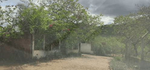 Foto 1 de 4: Area Rural em leilão em Vertentes - PE — IMÓVEIS RURAIS — LOTE Nº