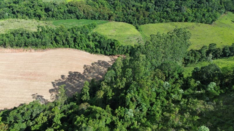 Foto 4 de 8: Area Rural em leilão em Descanso - SC — LOTE 001 [7.248] PARTE IDEAL DE LOTE RURAL DE 10.000,00M² EM DESCANSO/SC