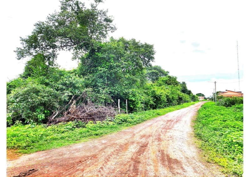 Foto 6 de 12: Terreno em leilão em Nossa Senhora De Nazaré - PI — LOTE 001 TERRENO COM 7.550M2