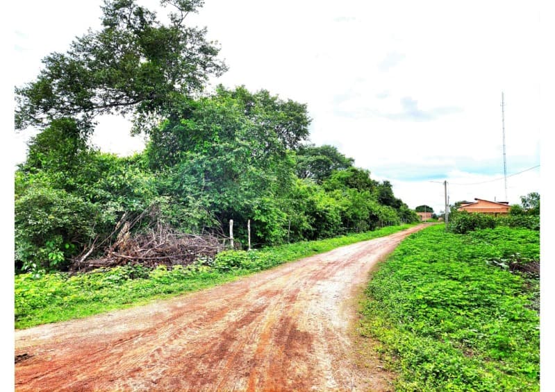 Foto 8 de 12: Terreno em leilão em Nossa Senhora De Nazaré - PI — LOTE 001 TERRENO COM 7.550M2