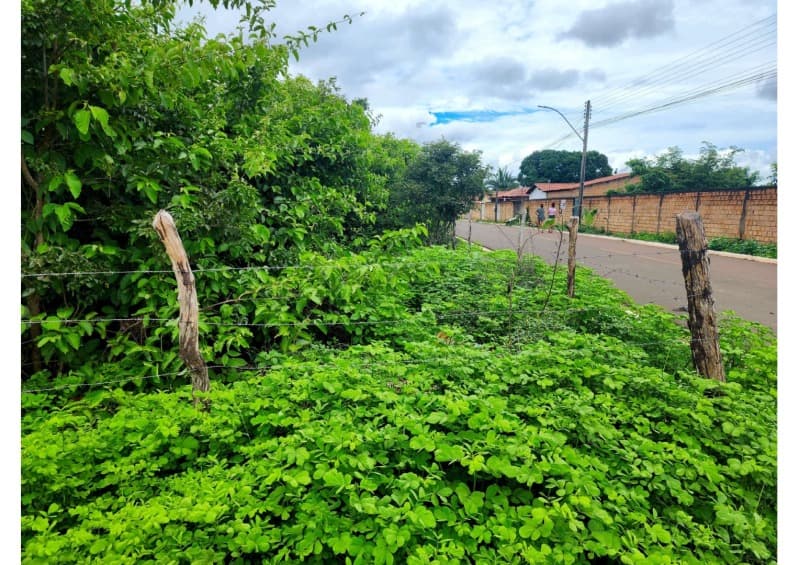 Foto 9 de 12: Terreno em leilão em Nossa Senhora De Nazaré - PI — LOTE 001 TERRENO COM 7.550M2