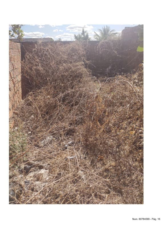 Foto 8 de 9: Terreno em leilão em Campo Grande Do Piauí - PI — LOTE 001 UM TERRENO URBANO NA CIDADE DE CAMPO GRANDE DO PIAUI