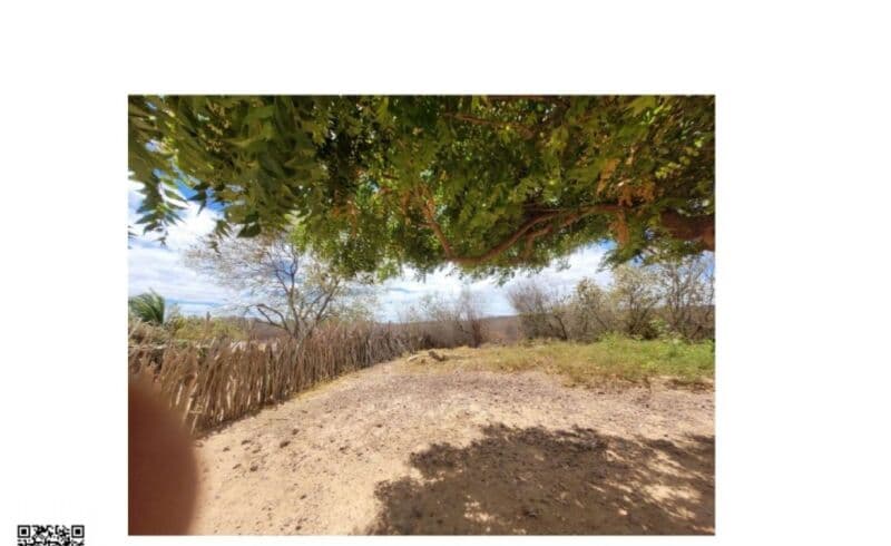 Foto 3 de 5: Area Rural em leilão em Jaicós - PI — LOTE 001 UMA GLEBA DE TERRA COM ÁREA DE 08,00,00 (OITO HECTARES) SITUADA NO LUGAR DENOMINADO "JUREMA